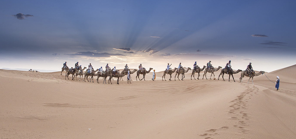 Dromedary slider