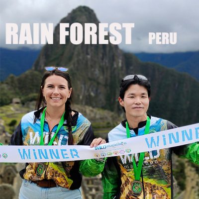 Rain Forest